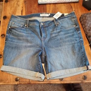 Torried Denim Shorts - Sz 18